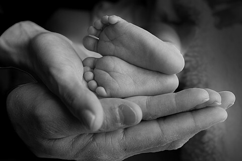 Newborn